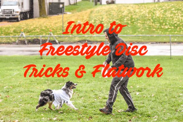 Intro to Freestyle Disc: Tricks & Flatwork