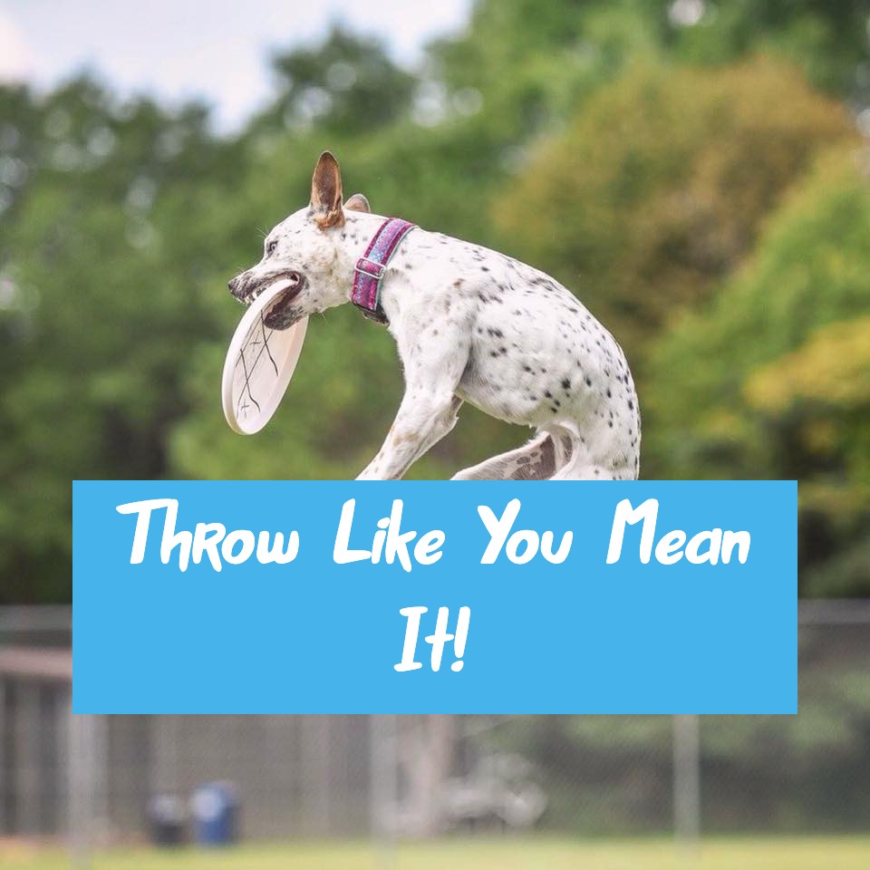 **Throw Like You Mean It** Online Disc Dog Course
