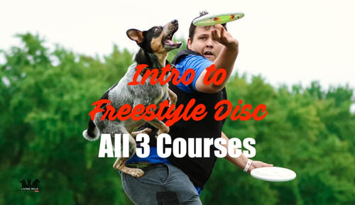 Intro to Freestyle Disc (All 3 Courses!)