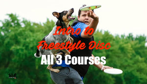 Intro to Freestyle Disc (All 3 Courses!)