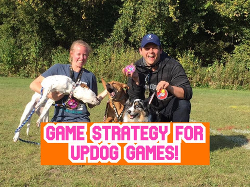 UpDog Game Strategy by Lucky Mutt Dog Training