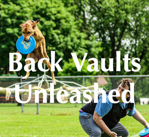 Back Vaults Unleashed Online Course