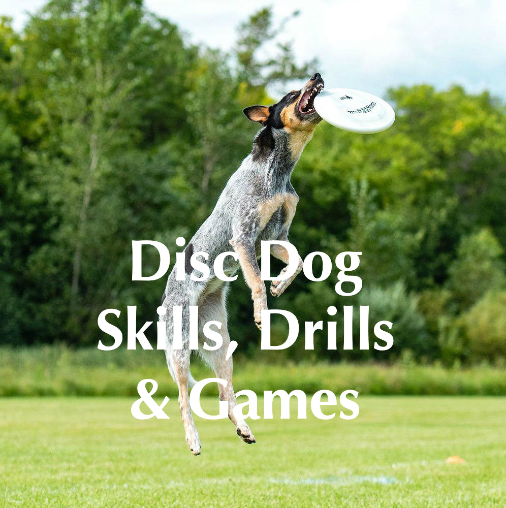 *Intro to Disc Dog* Skills, Drills & Games Online Course