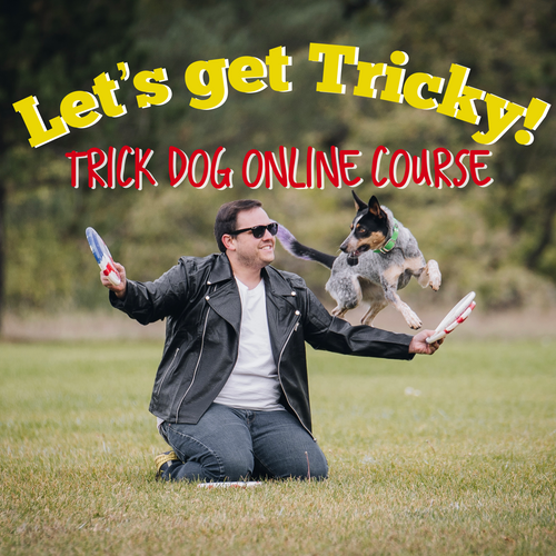 Let's Get Tricky: Online Trick Dog Course
