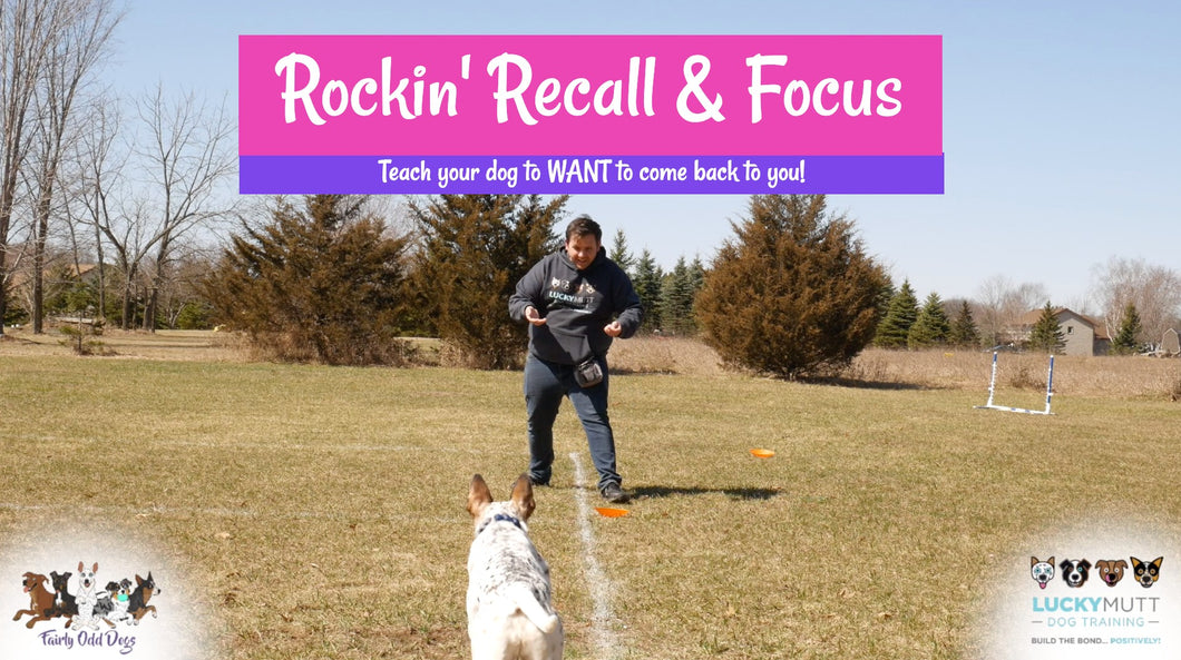 Rockin' Recall & Focus Online Course
